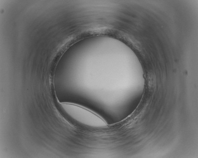 X0000073460637200607281032