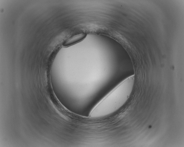 X0000073460638200607281032