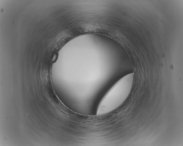 X0000073460648200607281032