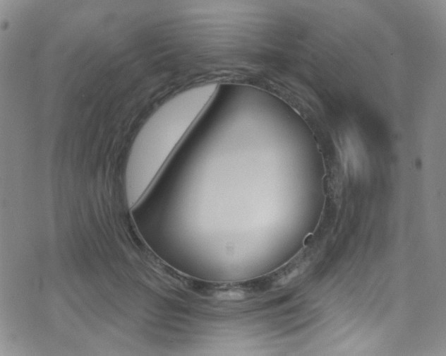 X0000073460653200607281032