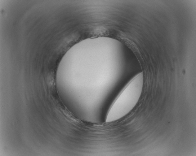 X0000073460665200607281032