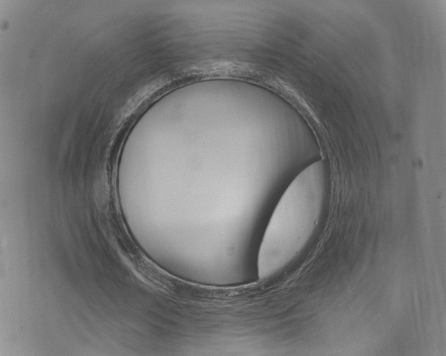 X0000073460674200607281032
