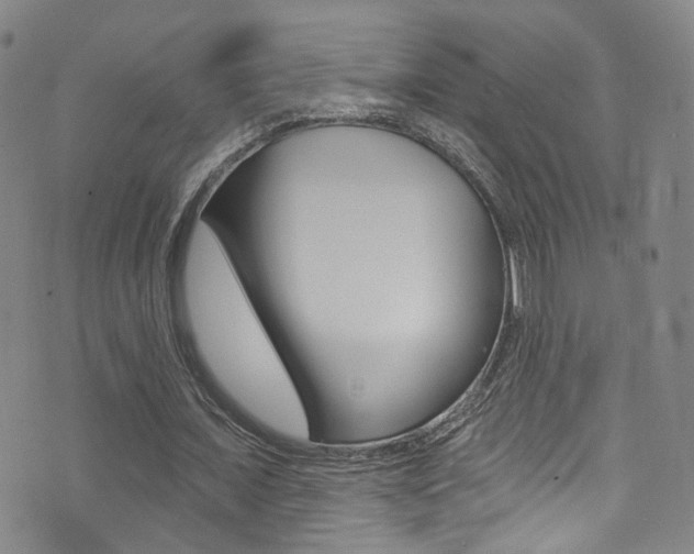 X0000073460675200607281032