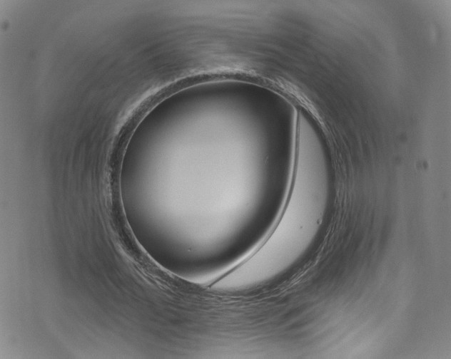 X0000073460676200607281032
