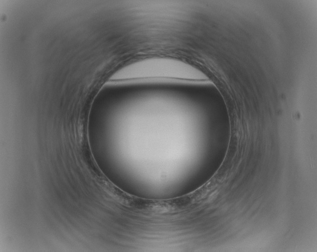 X0000073460697200607281031