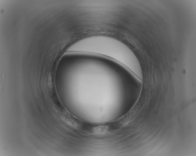 X0000073460700200607281031