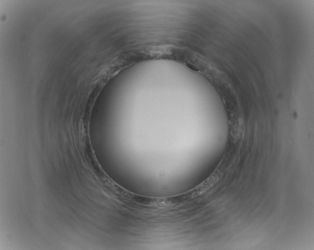 X0000073460704200607281031