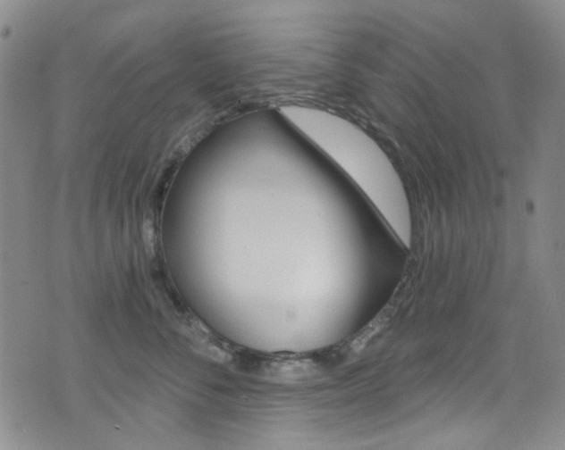 X0000073460716200607281031