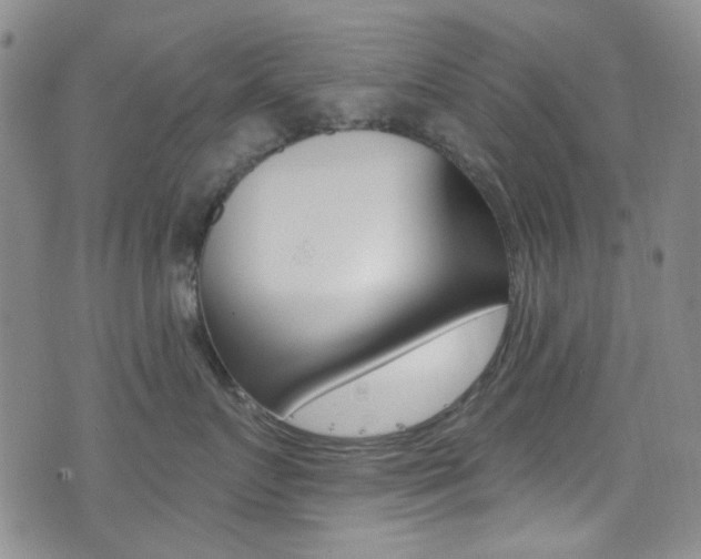 X0000073460719200607281031
