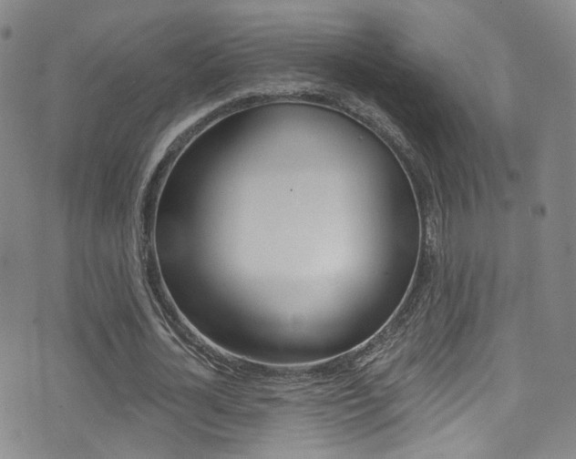 X0000073460724200607281030