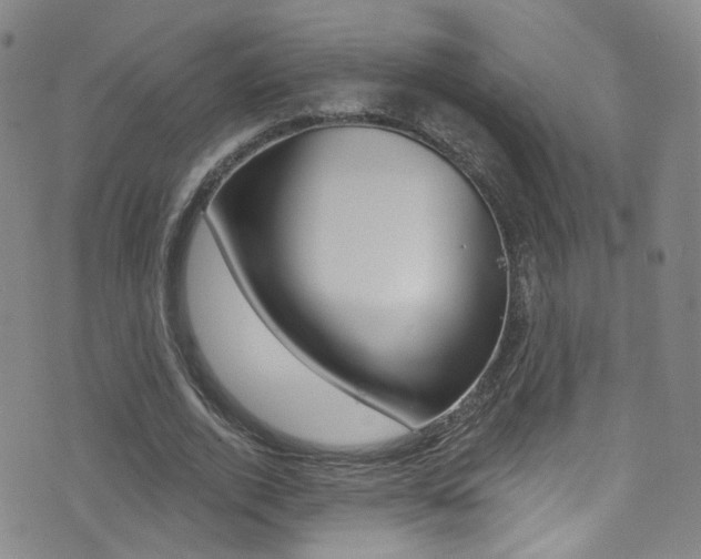 X0000073460728200607281030