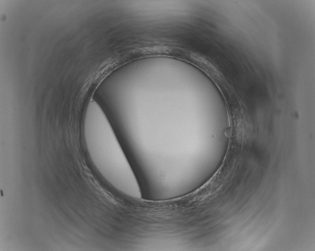 X0000073460729200607281030
