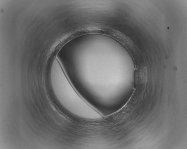 X0000073460732200607281030