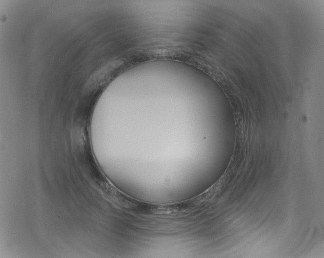 X0000073460746200607281031