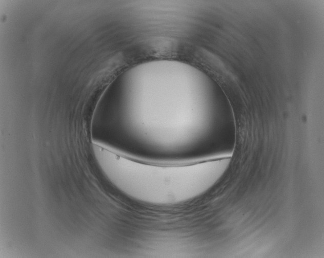 X0000073460748200607281031