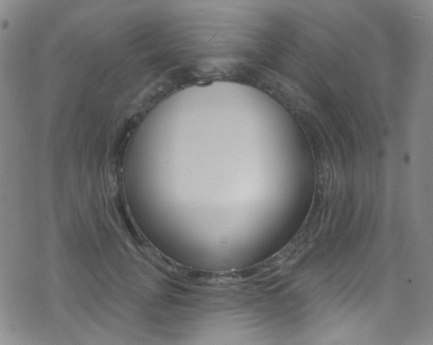 X0000073460751200607281031