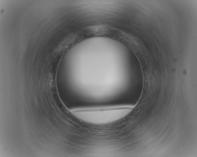 X0000073460752200607281031