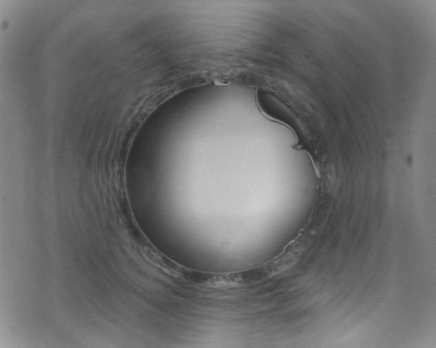 X0000073460756200607281031