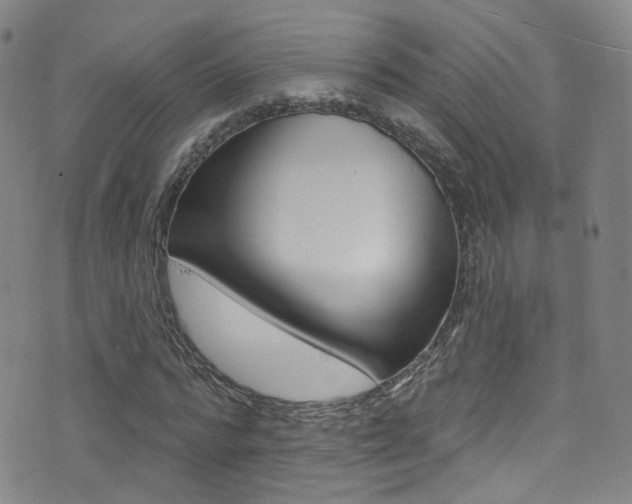 X0000073460776200607281030