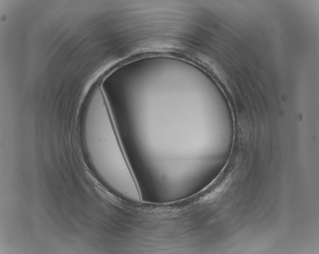 X0000073460779200607281030