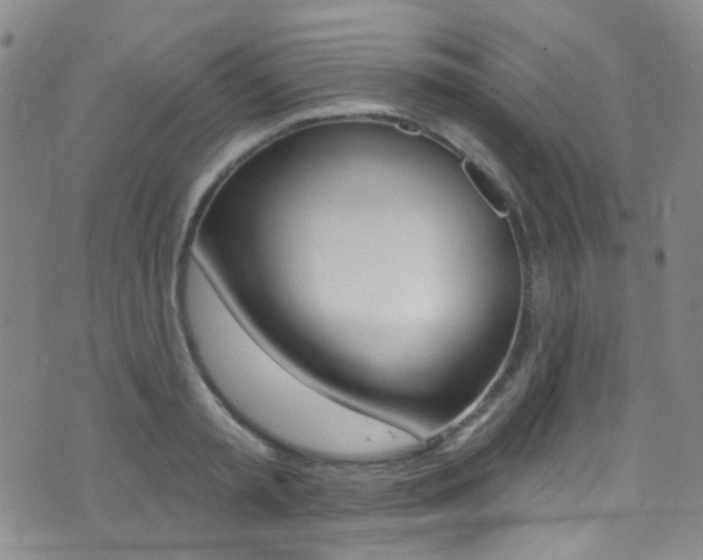X0000073460797200607281030