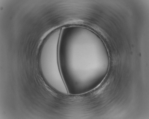 X0000073460830200607281029