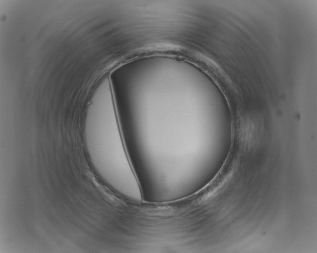 X0000073460833200607281029