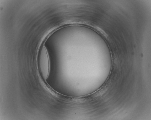 X0000073460840200607281029