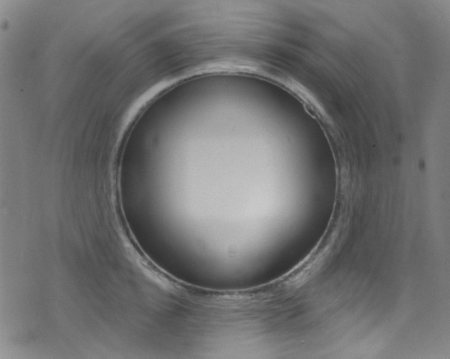 X0000073460854200607281029
