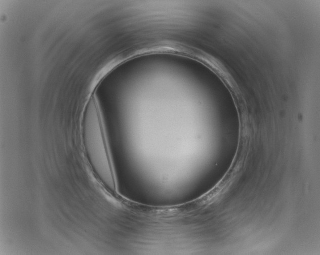 X0000073460858200607281029