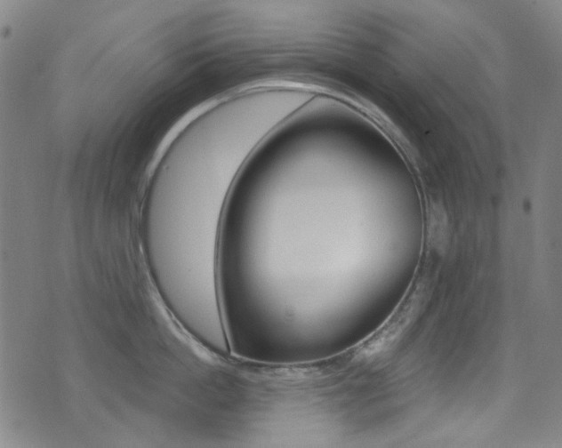X0000073460862200607281029