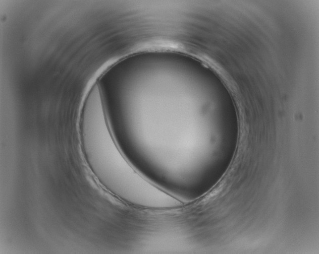 X0000073460864200607281029