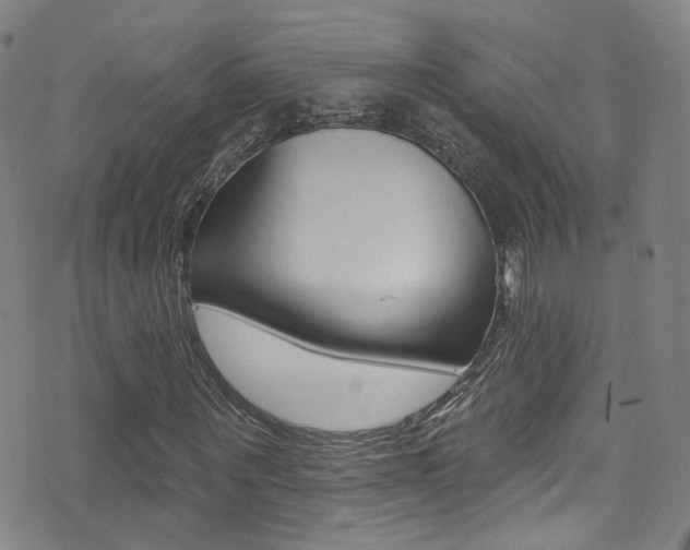 X0000073460867200607281029