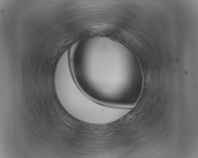 X0000073460868200607281029