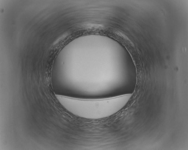 X0000073460869200607281029