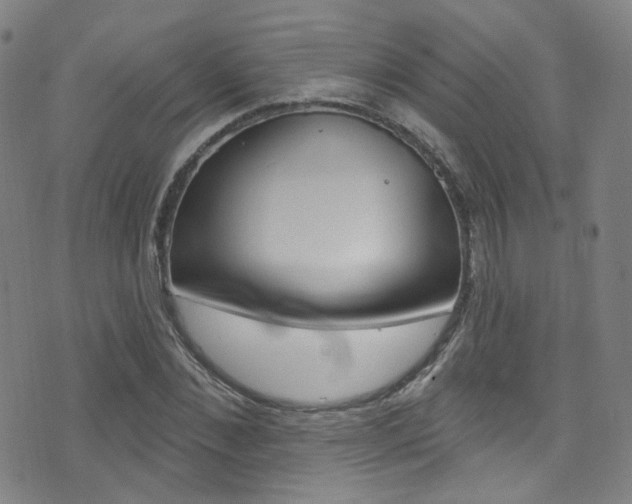 X0000073460876200607281028
