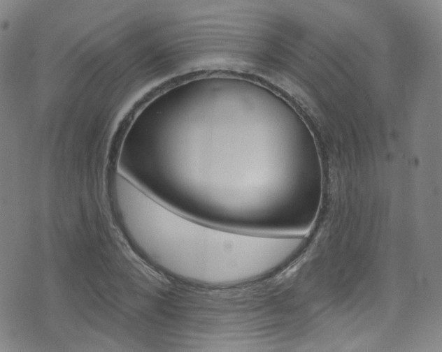 X0000073460880200607281028