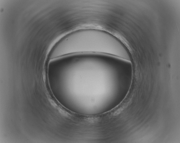X0000073460888200607281028