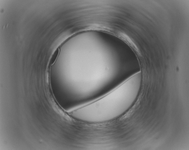 X0000073460900200607281028