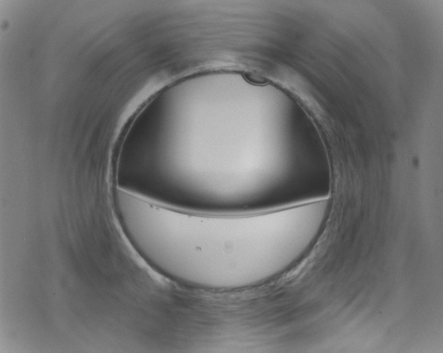 X0000073460902200607281028