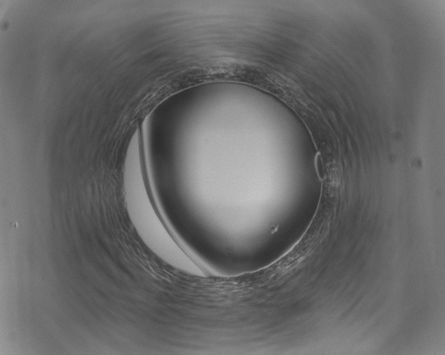 X0000073460916200607281027