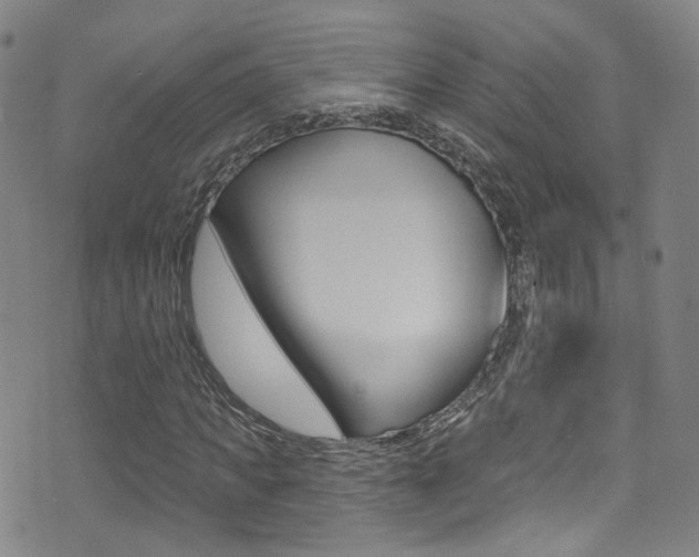 X0000073460917200607281027