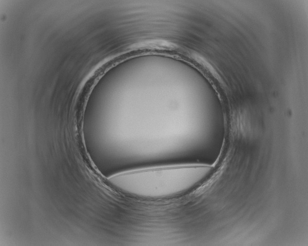 X0000073460923200607281027