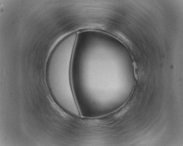 X0000073460940200607281028