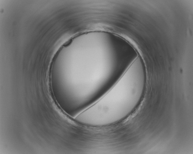 X0000073460949200607281028