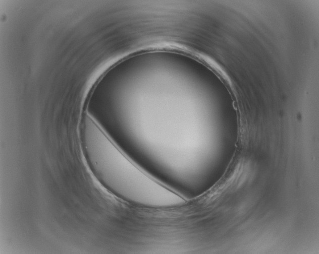 X0000073460951200607281028
