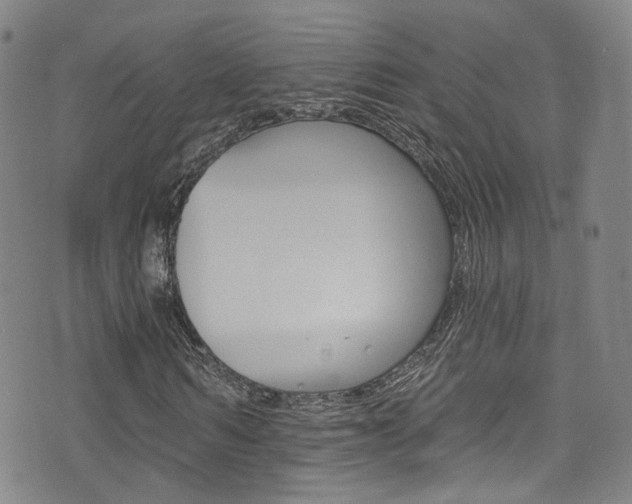 X0000073460962200607281027