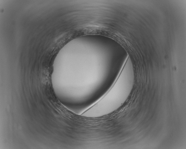 X0000073460964200607281027