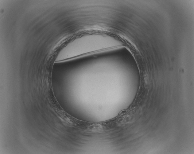 X0000073460968200607281027