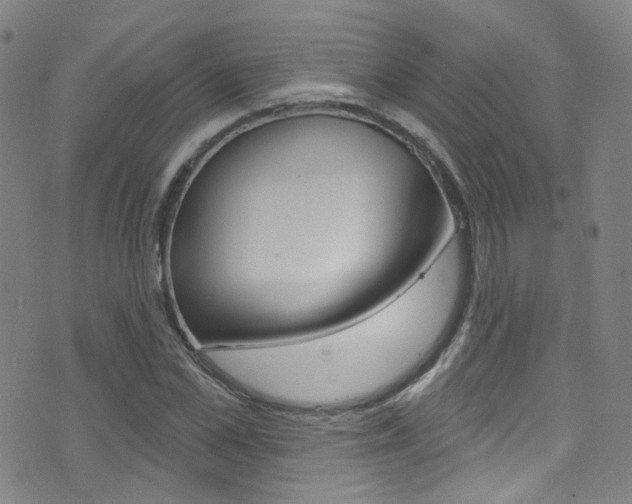 X0000073460973200607281027